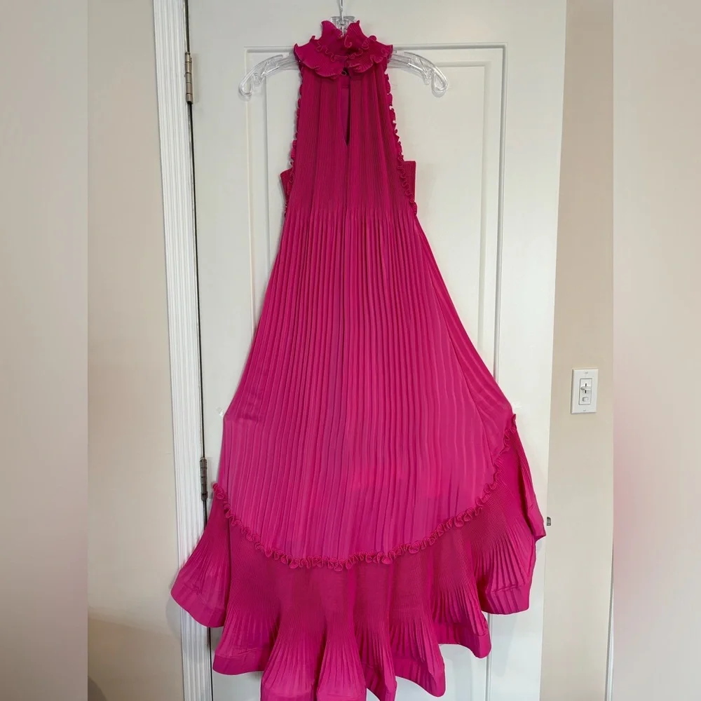 UNGARO Ruffle Dress - Picture 5 of 8